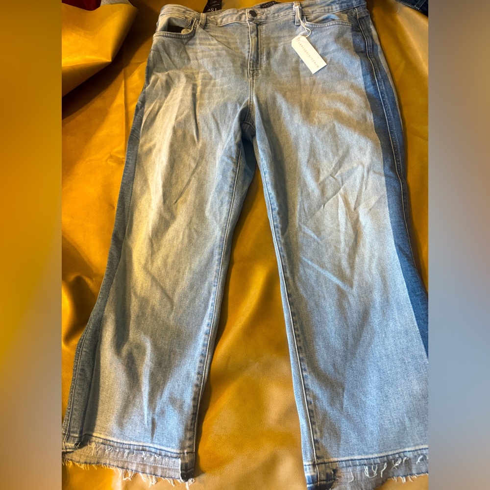 NWT Sanctuary Denim Jeans frayed hem size 18